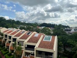 Allsworth Park (D10), Condominium #581012741